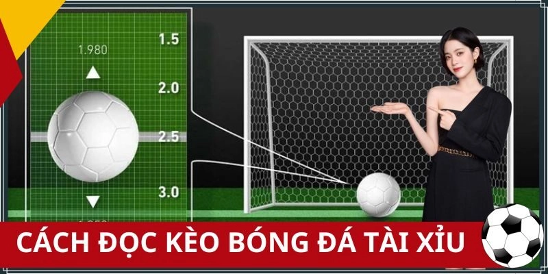 Cách Đọc Kèo Bóng Đá Tài Xỉu – Từ Cơ Bản Đến Nâng Cao