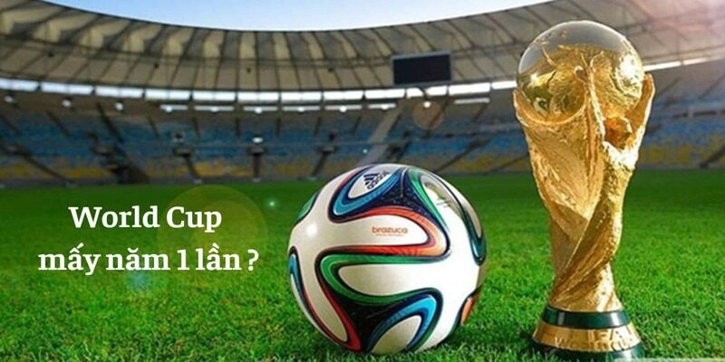 World Cup Bao Nhiêu Năm Tổ Chức 1 Lần – Những Điều Cần Biết