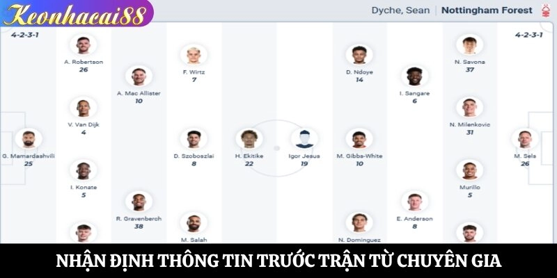 Nhận định thông tin trước trận từ chuyên gia